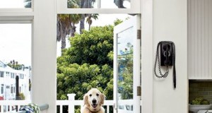 Cozy Cottage Aesthetic – Elements That Feel at HOME