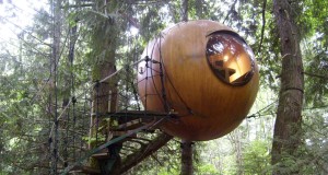 Long Weekend on the Island – Vacation Close to Home