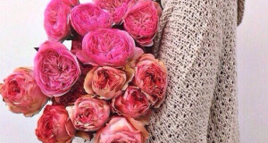 Mother’s Day Gift Guide