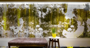 The Interior Designers Institute of British Columbia 32nd annual SHINE Awards