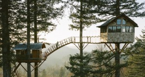 10 Treehouses to Cozy up in for Winter