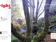 DO YOU KNOW WHERE THIS PHOTO WAS TAKEN? Enter to win. what's your guess