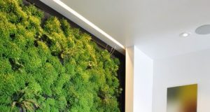 If Walls Could Talk – Reinvent Your Home Canvas