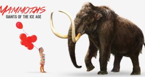 Mammoths: Giants of the Ice Age at Royal BC Museum