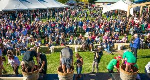 Fall in love with Oliver Osoyoos Wine Country at the Wine Capital Festival Weekend