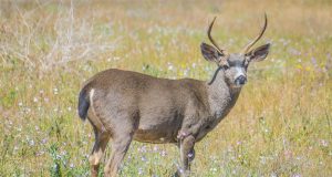 Three Adventure Travel Activities Worth Trying