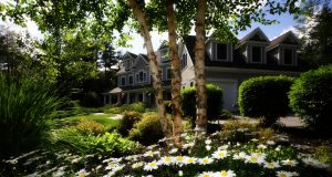 Buying A Home In BC: How to Get Started