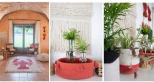 Everything is coming up coral in 2019!