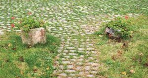 9 Troublesome Weed Zones to Tackle