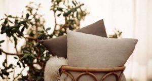 Innovative Pillow by Young Canadian Entrepreneurs Reduces Toxic Indoor Air Pollution