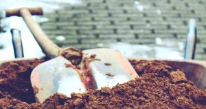 4 Questions to Ask When Hiring a Landscaping Design Team