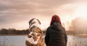 Growing old with your dog could result in a much healthier life