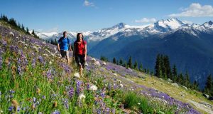 Four Seasons Resort and Residences – Whistler Summer Staycation FOUR SEASONS RESORT AND RESIDENCES WHISTLER