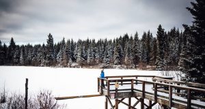Enjoy the Winter Outdoors in Prince George Winter Outdoors in Prince George
