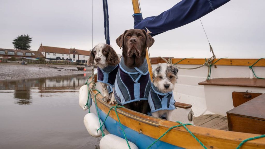 drying towels for dogs