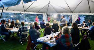 Pigs OUT! Escape the Pen in Oliver Osoyoos Wine Country OOWA Pig Out Trails