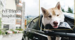 Pan Pacific Whistler Donates $9,100 to Whistler Animals Galore