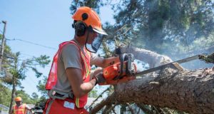 Keep Your Outdoor Power Equipment Ready man with chainsaw cutting a fallen tree