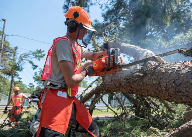 man with chainsaw cutting a fallen tree
