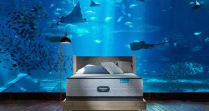 Beautyrest is hosting a one-night-only overnight luxury aquarium experience spend the night alone under the sea and go private shark diving