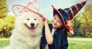 Tips to Safely Celebrate Halloween with Your Pets