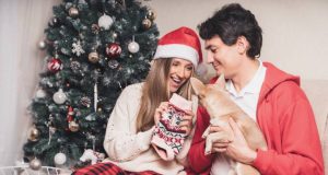 Festive Holiday Gifts for Pets
