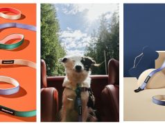 Introducing Wanderruff: eco-conscious + stylish pup essentials