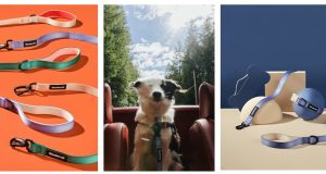 Introducing Wanderruff: eco-conscious + stylish pup essentials