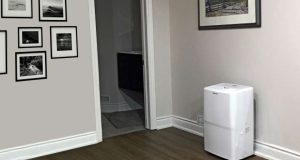 Beat Back the Damp with a Dehumidifier