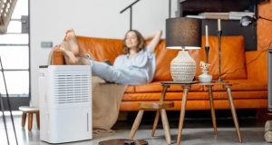 Cleaning the Air for Your Home indoor air purifier