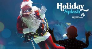 Vancouver Aquarium Celebrates the Season with a one-of-a-kind Holiday Splash