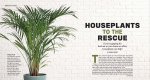 The Old Farmer’s Almanac Brand-New Garden Guide Features Inside Look at Gardening Today