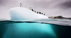 Embark on an adventure with National Geographic Live! in Vancouver’s Orpheum Theatre