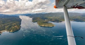 4vi’s Pioneering Partnership with Allied Certifications A Source for Good on Vancouver Island