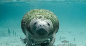 FLORIDA IS MADE FOR FAMILY FUN!