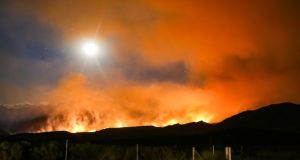 FireSmart BC and BCAA announce major partnership to make homes more resilient to wildfires