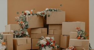 Moving With Valuable Things: How To Choose Good Moving Service