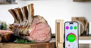 MEATER 2 Plus Redefines Smart Meat Thermometers
