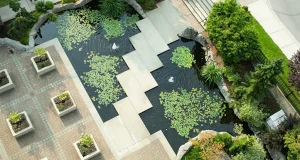 The Parkside Hotel & Spa receives the 2023 Skål International Sustainable Tourism Award An aerial view of a serene garden pond with lily pads, surrounded by a patterned arrangement of square and rectangular paving stones. Potted plants are placed symmetrically along the walkways, and lush landscaping adds a touch of greenery to the urban environment.