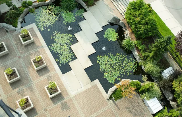 An aerial view of a serene garden pond with lily pads, surrounded by a patterned arrangement of square and rectangular paving stones. Potted plants are placed symmetrically along the walkways, and lush landscaping adds a touch of greenery to the urban environment.