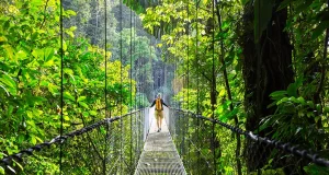 Flight Centre Canada’s 2023 Top Tour Destinations Hiking in green tropical jungle, Costa Rica, Central America