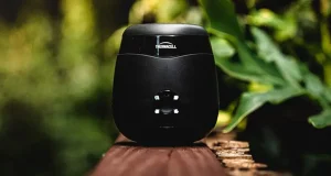 Stay Bite-Free with the Thermacell E55: The Ultimate Mosquito Repellent Solution