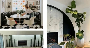 Insider Tips For Fall Plants + Moving Indoors from Plantd Life