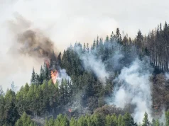 Smartmi is donating 10% to wildfire relief efforts