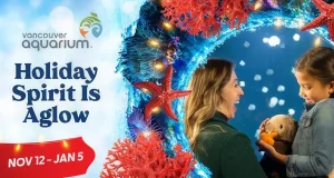 Soak Up the Magic of This Holiday Season at Vancouver Aquarium