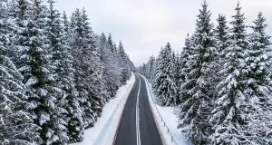 Stay Safe on BC Roads This Holiday Season