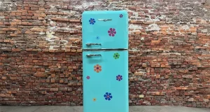 Elmira Stove Works Celebrates 50 Years!