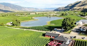 2025 Season at Kismet Estate Winery and Manzil Restaurant