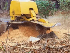 Expert advice on the yard jobs you should never DIY