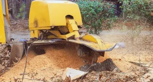 Expert advice on the yard jobs you should never DIY